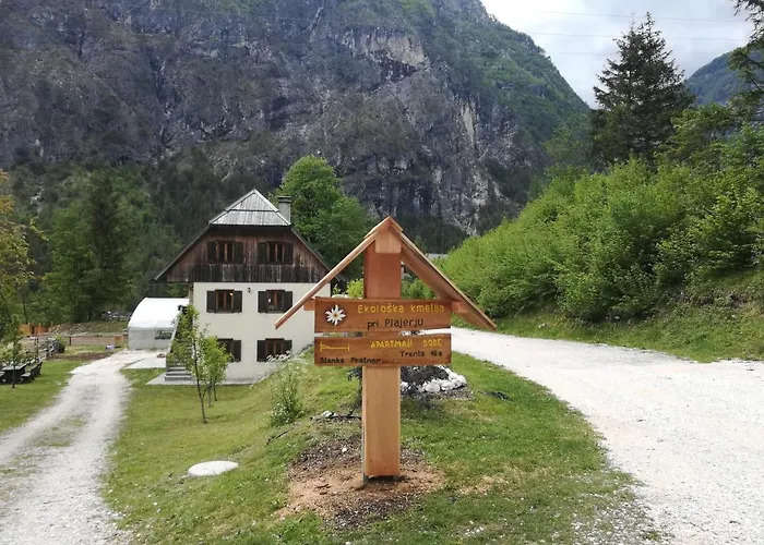 Organic Tourist Farm Pri Plajerju