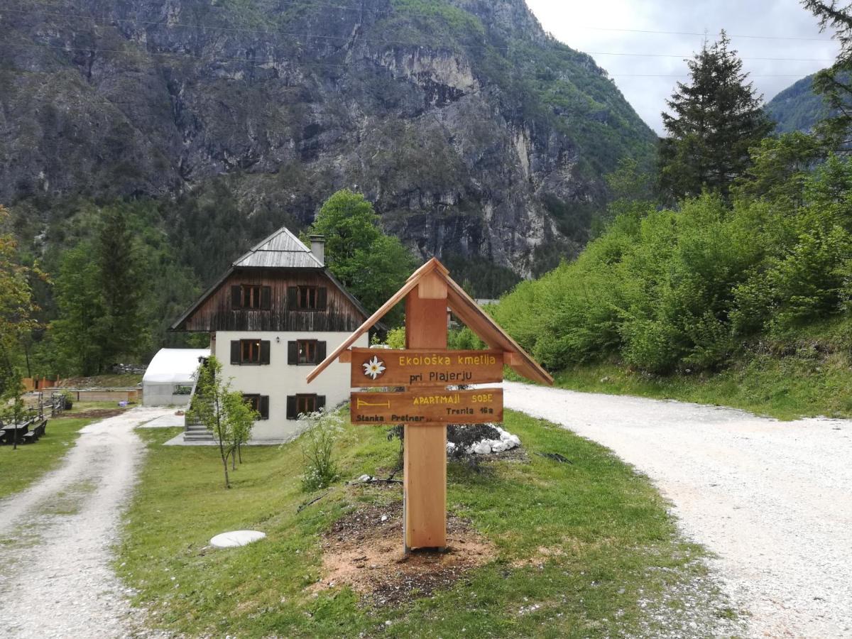 Apartment Organic Tourist Farm Pri Plajerju Trenta