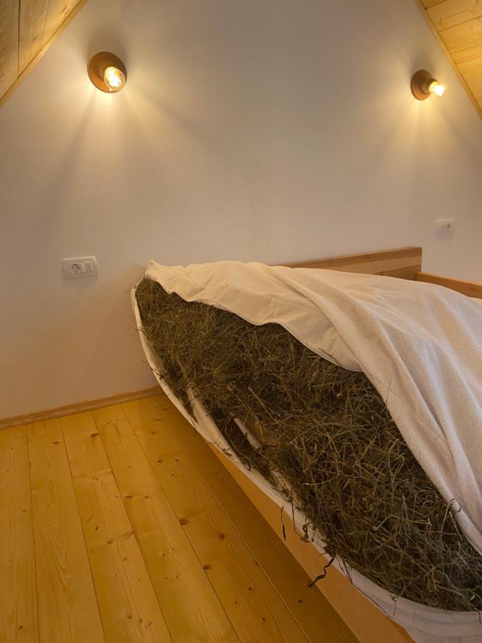 Organic Tourist Farm Pri Plajerju Apartment Trenta