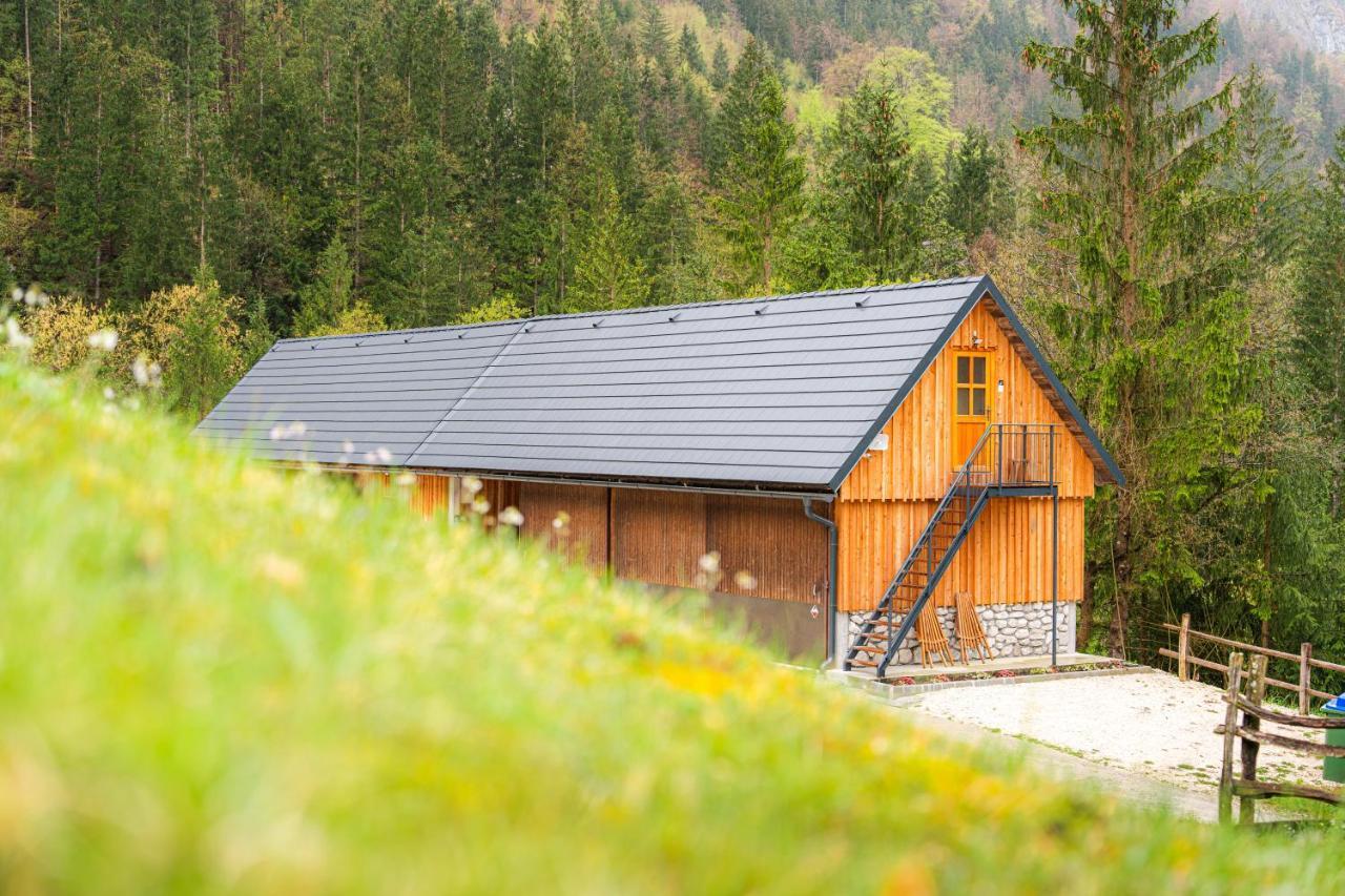 Organic Tourist Farm Pri Plajerju * Trenta